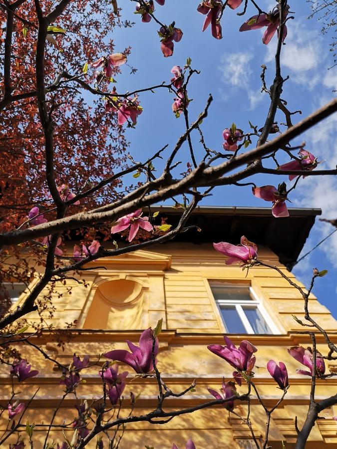 Vila Veselova, Ljubljana City Center Hostel Exterior foto